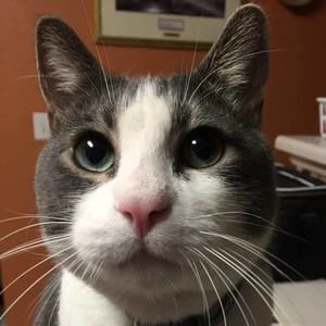 Meet your Posher, Randy